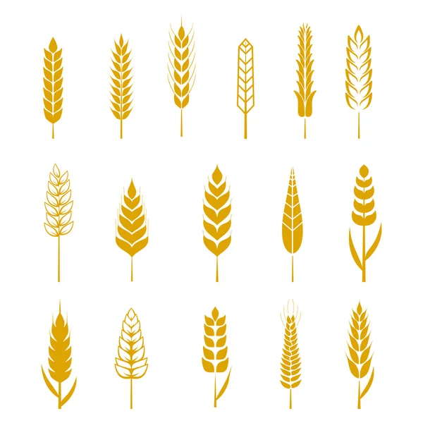 Conjunto de ícones de espigas de trigo simples e elementos de design para cerveja, alimentos frescos agrícolas locais orgânicos, design temático de padaria, grãos de trigo. Vetor de trigo — Vetor de Stock
