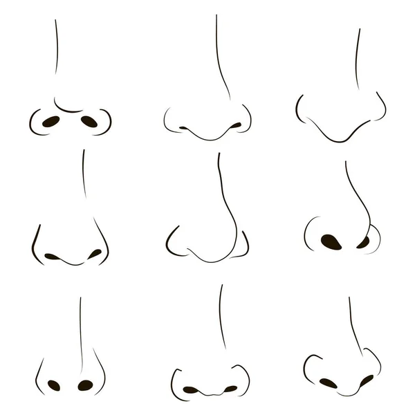 Line art human noses set. Outline sketch body part. Vector illustration — Stock Vector
