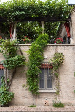 Cilmbing bitkilerde Bahçe İtalya ile eski bir ev