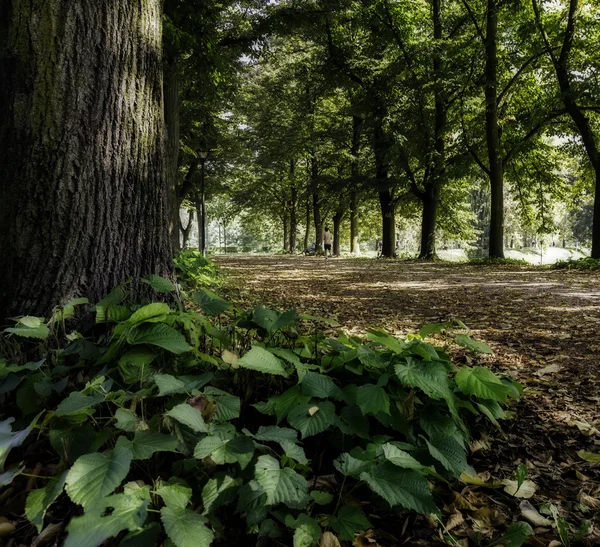 Les murs de Ferrare (en italien Le Mura) en Italie — Photo