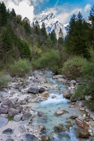 Torrente alpino con una montaña al fondo —  Fotos de Stock