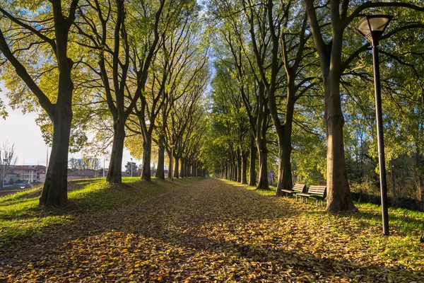 The Walls of Ferrara during autumn with fallen leaves on the gro Stock Photo