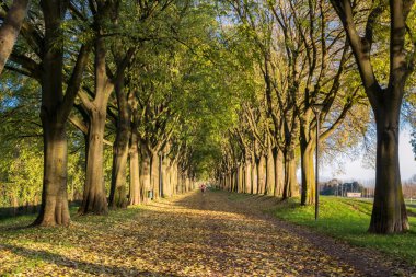 Ferrara duvarlar gro üzerinde düşen yapraklar ile sonbahar sırasında