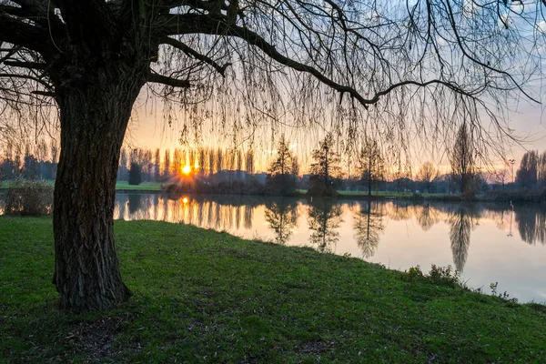 Coucher de soleil d'hiver sur le rivage d'un lac avec des nuages reflétés dans le th — Photo