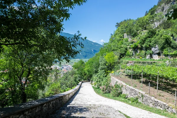 Paisaje norte italiano con viñedos cerca del lago de Garda —  Fotos de Stock