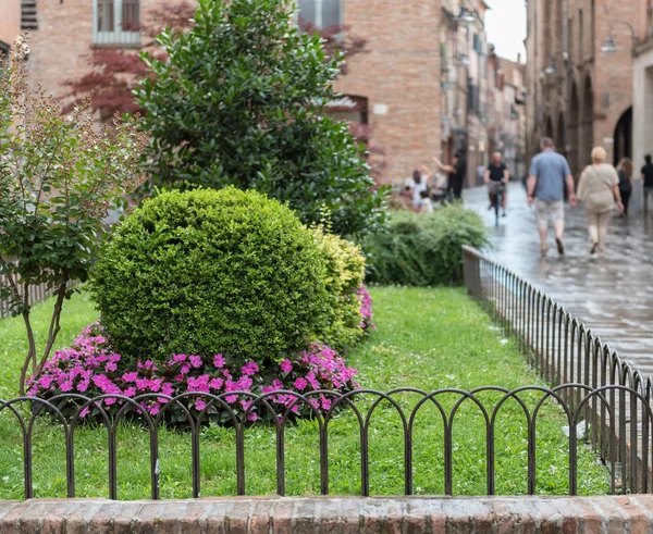 Little garden near th cathedral of Ferrara city — Stock Photo, Image