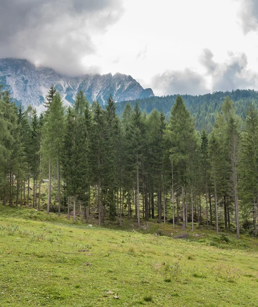 Beautiful view of nature in the italian dolomites — Stock Photo, Image