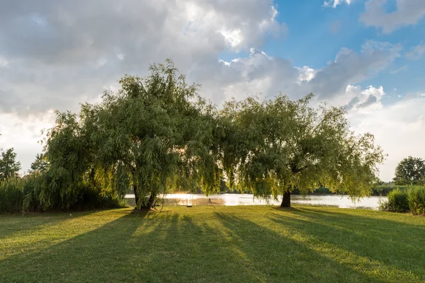 Parc public dans la ville de Ferrare avec un lac pendant une journée ensoleillée — Photo