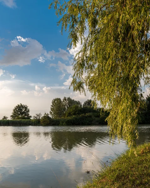 Общественный парк в городе Феррара с озером в солнечный день — стоковое фото