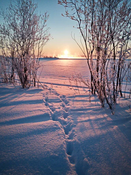 Bij Ijzige Kust Bij Zonsondergang — Stockfoto