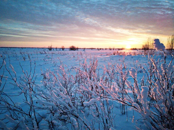 Magnificent Sunset Steppe — Stock Photo, Image