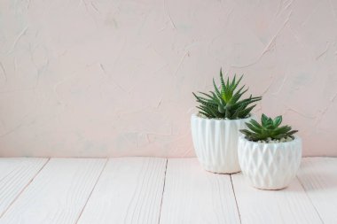 Kapalı alanda bitkileri olan beyaz bitkiler. Beyaz tencerelerde kapalı çiçekler ve yazıtlar için bir yer var..