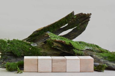 Ürün sunumu için podyum. Tahtadan yapılmış minimalist küpler. Geometrik şekilli bir sahne. Markalaşma için ön koşullar. Doğal ürünler