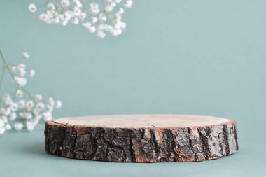 Devrilmiş bir ağacın minimalist bir sahnesi doğal bir arka planda çiçeklerle yatar. Ürün ve kozmetik sunumu için podyum. Doğal ürünler sahnesi olan bir gösteri. Boş boşluk