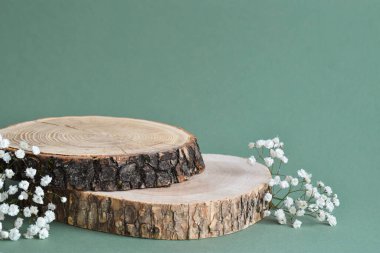 Devrilmiş bir ağacın minimalist bir sahnesi doğal bir arka planda çiçeklerle yatar. Ürün ve kozmetik sunumu için podyum. Doğal ürünler sahnesi olan bir gösteri. Boş boşluk