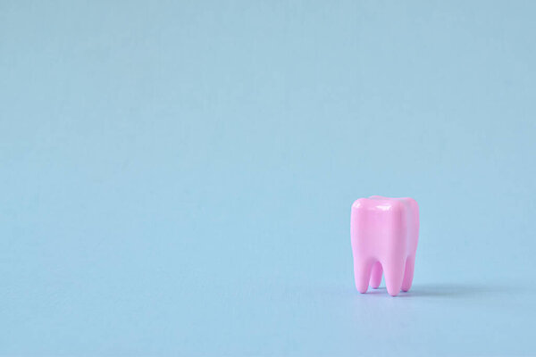 Model of a tooth on a blue background. Dentistry. Plastic tooth implantation concept. Copy space