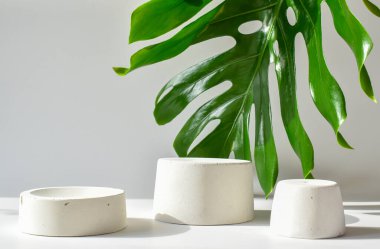 Geometrik beton figürlü beyaz bir podyum ve sarmaşık dallı taşlar. Çimento kutusu olan bir sahne. Minimalist bir geçmiş. Kozmetik ürünleri sunumu. Boşluğu kopyala