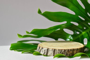 Çevre dostu ürünlerin sunumu için canavarlarla dolu bir çarşafın üzerinde ahşap bir sahne. Podyum doğal malzemeden yapılmıştır ve metin için yer vardır. Minimalist markalaşma sahnesi.