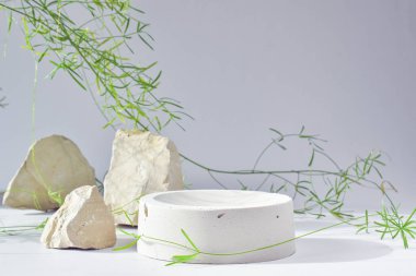 Geometrik beton figürlü beyaz bir podyum ve sarmaşık dallı taşlar. Çimento kutusu olan bir sahne. Minimalist bir geçmiş. Kozmetik ürünleri sunumu. Boşluğu kopyala