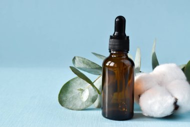 Kahverengi cam şişe ve açık mavi arka planda pamuklu okaliptüs. Deri ve vücut bakımı için çevre dostu organik kozmetik ürünleri. Boşluğu Kopyala