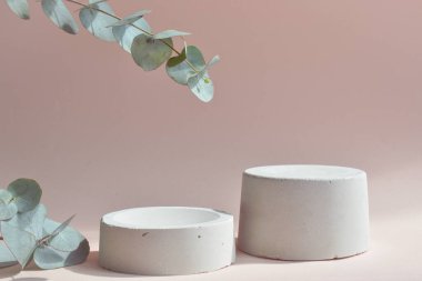 Ürün sunumu için podyum. Doğal gölgeli okaliptüs dallı minimalist beton sahne.