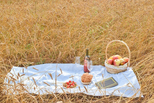Zomerpicknick met aardbeien, appels en wijn in een veld met landbouwgewassen. — Stockfoto