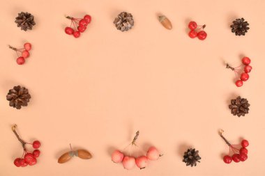 Şablon, bej bir zemin üzerinde çeşitli doğal nesnelerin olduğu bir çerçeve. Düz düzen, üst görünüm, kopyalanacak bir yer.