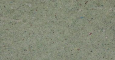 Mikroskop altında kağıt lifleri.