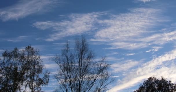 Skyformationer Den Blå Efterårshimmel – Stock-video