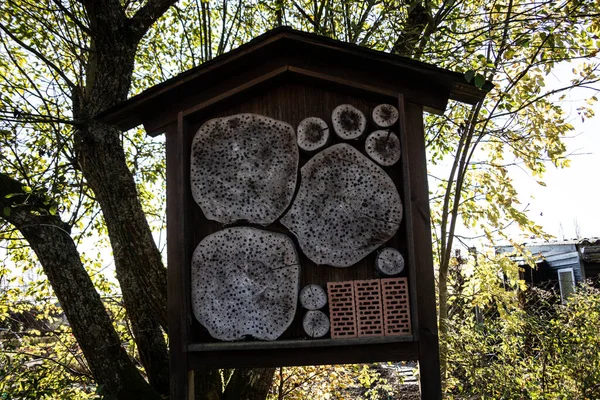 Insectenhotel Tuin Als Broedhulp Voor Insecten — Stockfoto