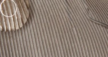 Büyüteçin altında, su damlaları ile şarkı söyleyen kuşun büyümüş tüyünü görebilirsiniz.