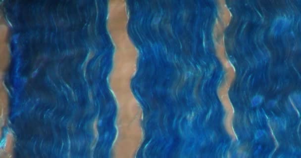 Sinews Darkfield Tissue Microscope 200X — Stok Video