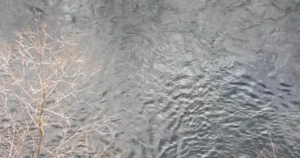 Fiume Selvaggio Inverno Con Spray — Video Stock