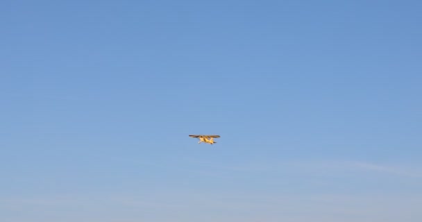 Modelo Amarelo Avião Flutua Frente Céu Azul Claro — Vídeo de Stock