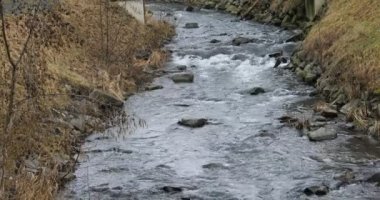 Kışın vahşi nehir, spreyle