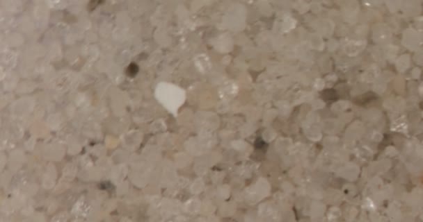 Мелкий Кварцевый Песок Зерном Микроскопом — стоковое видео