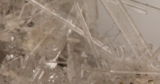 Agujas Cristal Selenita Sobre Roca — Vídeo de stock