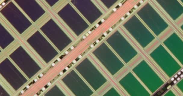 Circuito Microchip Microscopio — Video Stock