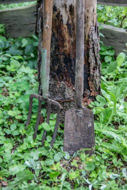 Boş vakitlerde bahçe işleri için araçlar