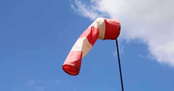 Red White Striped Windsock Blowing Stormy Wind Trees — Stock Video