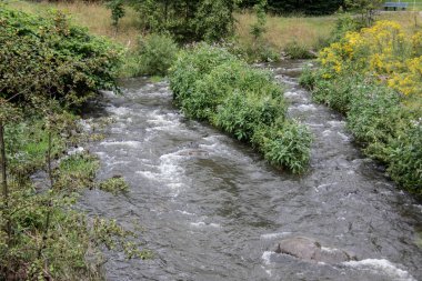 Yazın vahşi nehir, spreyle