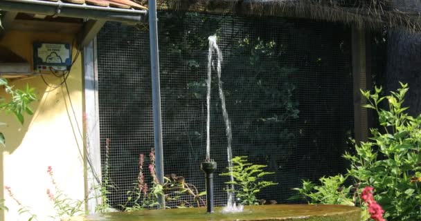 Die Außenwasserstelle Läuft Wie Ein Rinnsal — Stockvideo