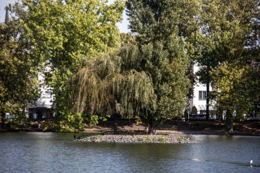 Almanya 'daki Castle Park Benrath