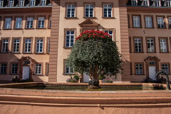 Castle Bad Berleburg Germany — Stock Photo, Image