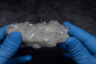 Parlak kristalleri olan kristal salgı bezleri.