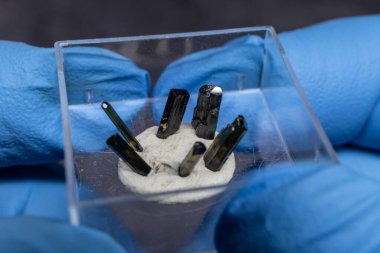 Sütun şekilli turmalin kristali mikroskop altında. Yakın çekim.