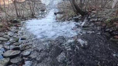 Sonbahar ormanı mavi gökyüzünün altında mavi bir nehirle kesişir.