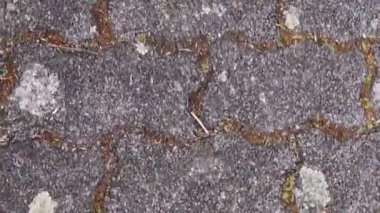 Arkaplan olarak taş elementli asfalt kaldırım