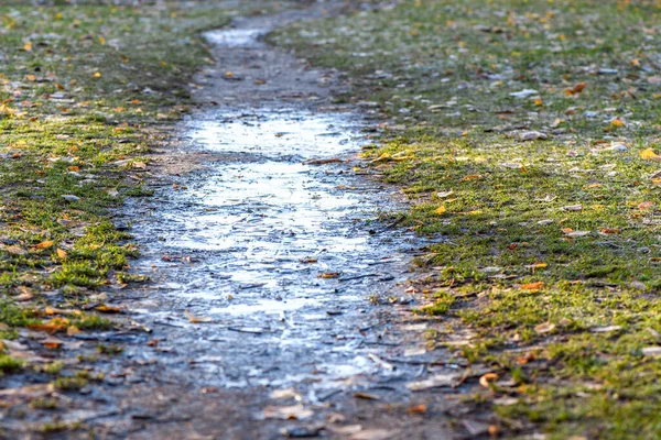 Frozen dirty puddle on the path after the first night frost.