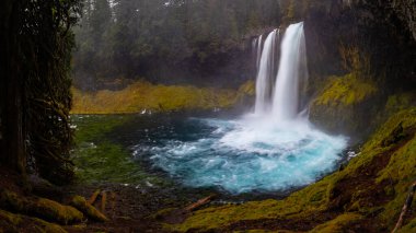 Koosah, Oregon 'daki şelalelerde Mackenzie nehrine düşüyor.